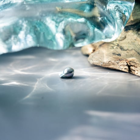 7月25日金魚真珠