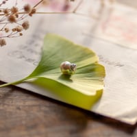 11月29日金魚真珠