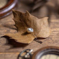 11月18日金魚真珠