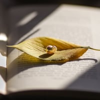 11月1日金魚真珠