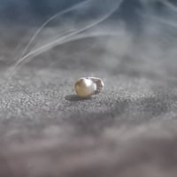 10月18日金魚真珠