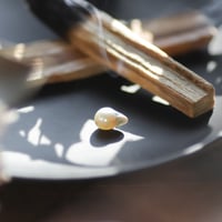 10月21日金魚真珠