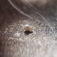 10月30日金魚真珠