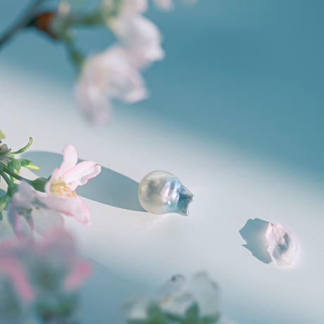 3月19日金魚真珠