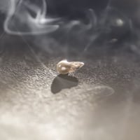 10月10日金魚真珠