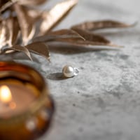12月9日金魚真珠
