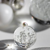 12月11日金魚真珠