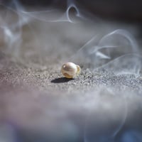 10月29日金魚真珠