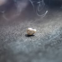 10月17日金魚真珠