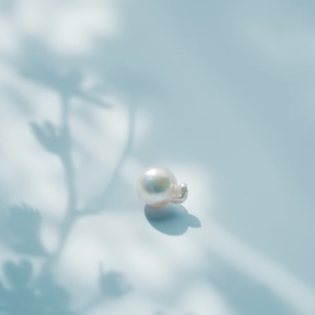 3月1日金魚真珠