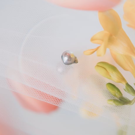 4月13日金魚真珠