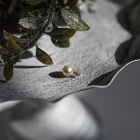 12月1日金魚真珠