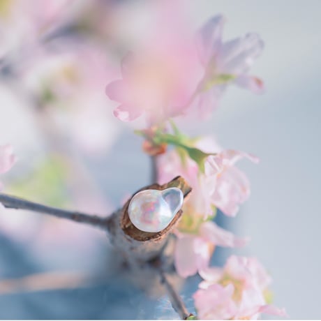 3月20日金魚真珠