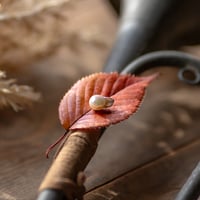 11月23日金魚真珠