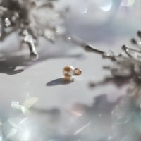 12月29日金魚真珠