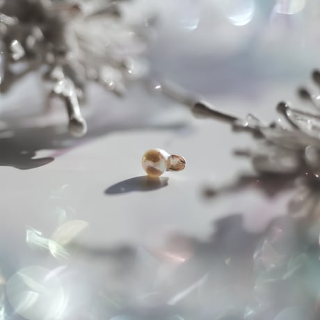 12月29日金魚真珠