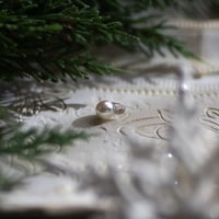 12月21日金魚真珠