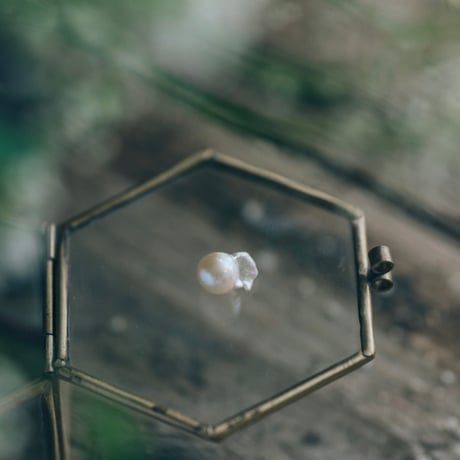5月30日金魚真珠