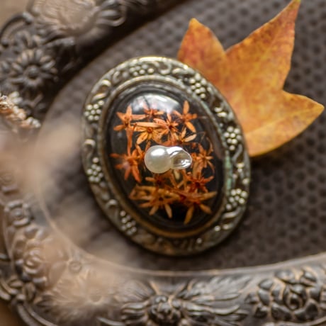 11月27日金魚真珠