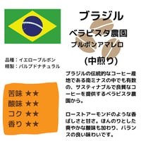 ブラジル ベラビスタ農園 ブルボン アマレロ （中煎り） 200g