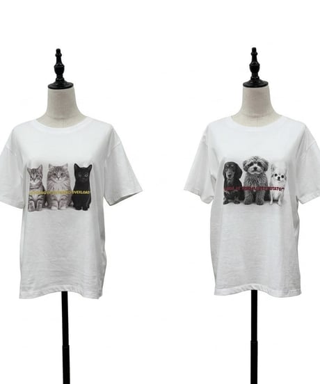 【siro de la bonte | '27 Spring Collection】soft cotton dog or cat? Tshirt(レディースサイズ） R713224