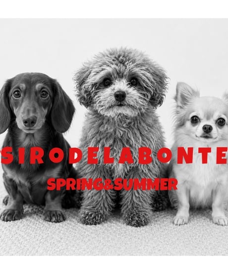 【siro de la bonte | '27 Spring Collection】soft cotton dog or cat? Tshirt(ユニセックス） R713227