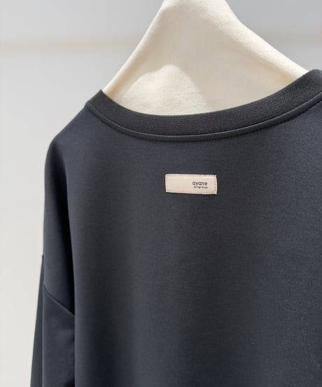 【ayane '26 winter collection】876830 裏起毛ハイテンションプルオーバー