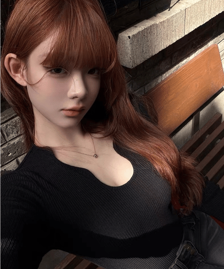 Elegant Scoop Neck Knit Top