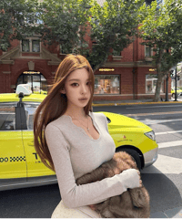 Elegant Scoop Neck Knit Top