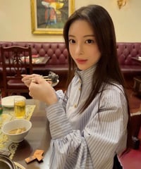 Elegant High neck Lantern Sleeve Shirt