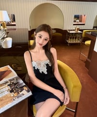 Elegant Lace Trimmed Dress