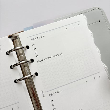わたしにやさしいリフィル「できたこと集め」  バイブルサイズ
