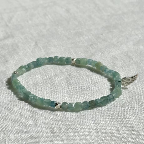 神輪：Lemurian Angel (9)