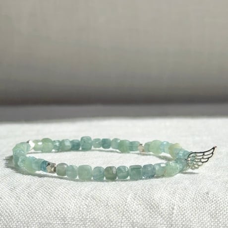 神輪：Lemurian Angel (9)