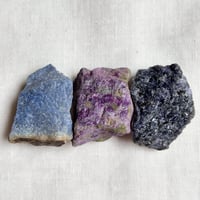 魔術師マーリンの弟子トリオ (3)