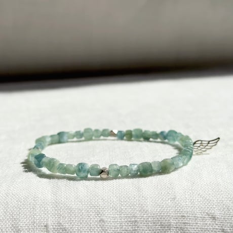 神輪：Lemurian Angel (10)