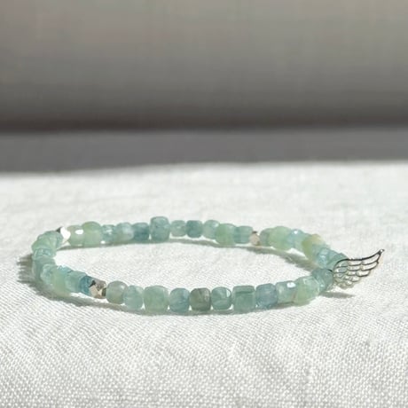 神輪：Lemurian Angel (9)