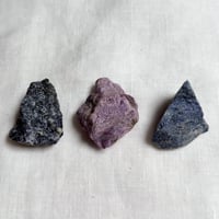 魔術師マーリンの弟子トリオ (1)