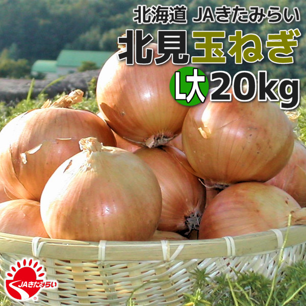 北見玉ねぎ L大20kg【北海道 JAきたみらい】 | ショップきたみさん！