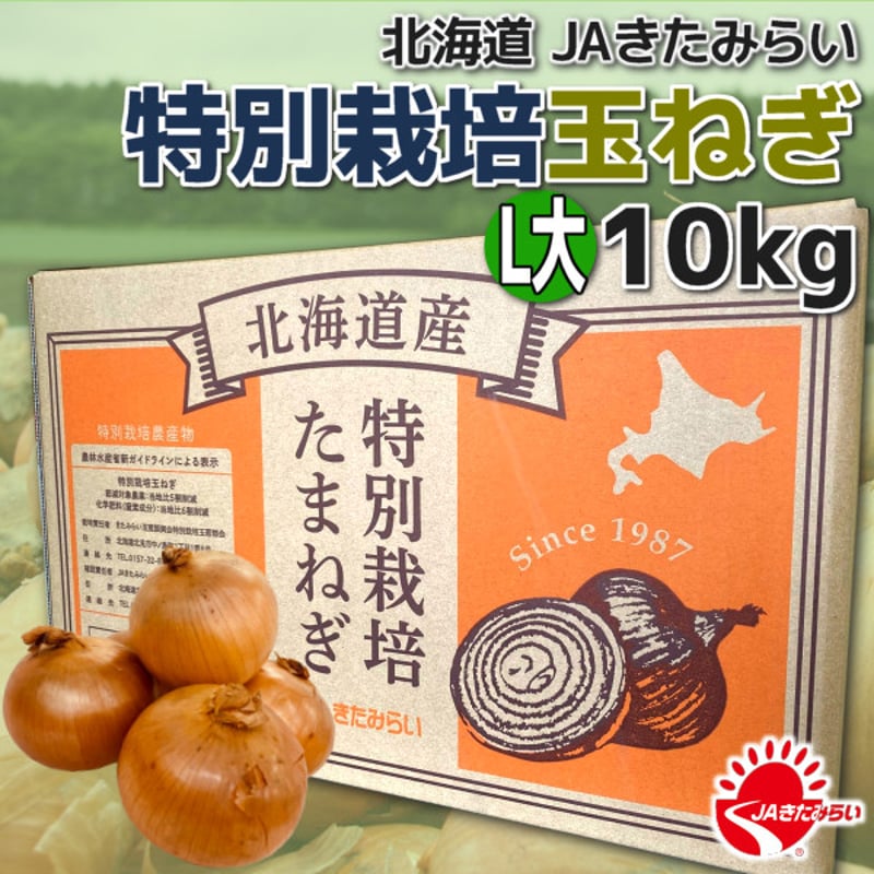 特別栽培玉ねぎ L大10kg【北海道 JAきたみらい】 | ショップきたみさん！