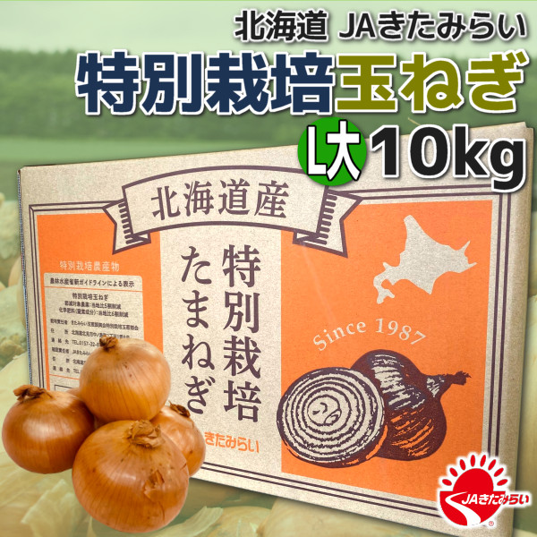 特別栽培玉ねぎ L大10kg【北海道 JAきたみらい】 | ショップきたみさん！