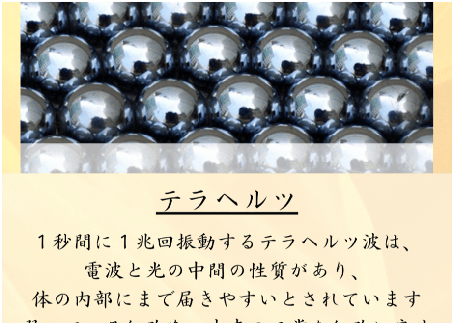 6a50896ed132419d00f49f51