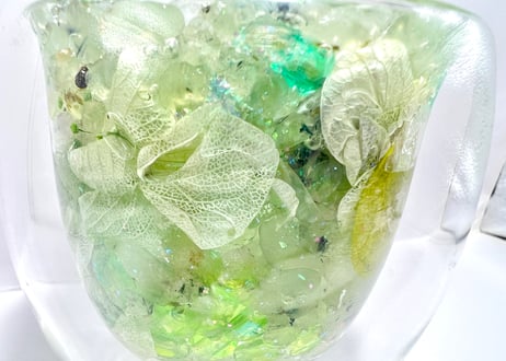 魔法の石💎とミニ観葉🍀