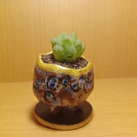 コルオリジナル陶器202608143