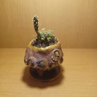 コルオリジナル陶器202608142