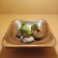 コルオリジナル軽石小器3点&四角ウッド器セット