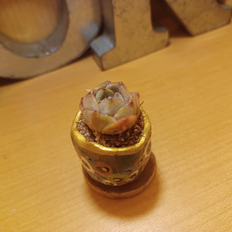 マル○丸コルオリジナル陶器20260909