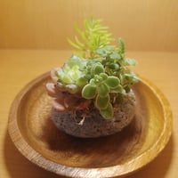 コルオリジナル軽石器&ウッド器セット20260715