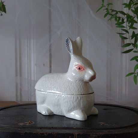 Michel Caugantうさぎのテリーヌポットb
