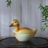 Michel Caugantアヒルのテリーヌポットb